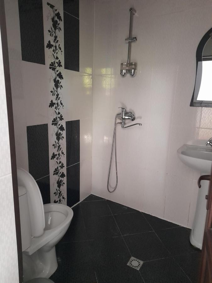 Guesthouse Боржоми Екстериор снимка